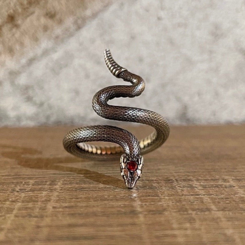 Anello Serpente Avvolgente con Pietra Argento